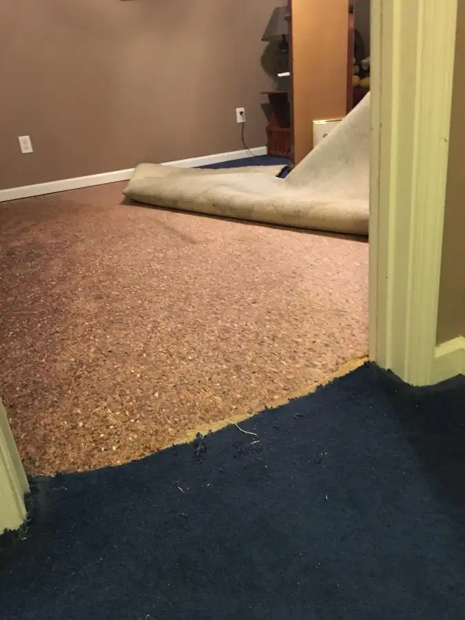 Carpet pad removal revealing water damage during Water Mitigation Services in Strasburg