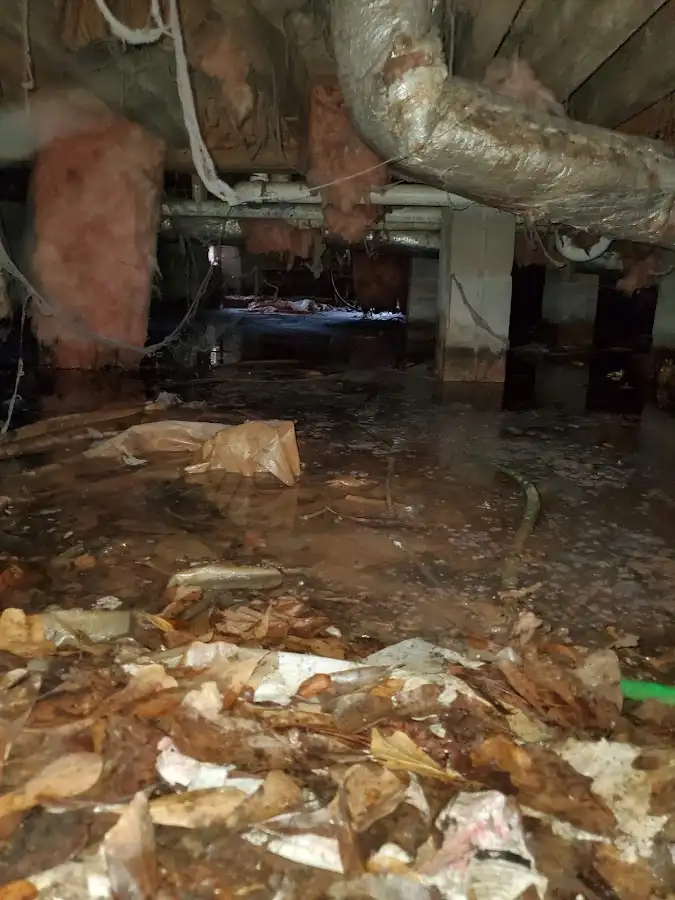 Crawl space flood assessment for Leak Detection & Repair in Strasburg